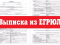 Выписка из ЕГРЮЛ (ЕГРИП)